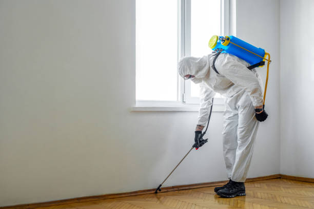 Best Fumigation Services  in USA